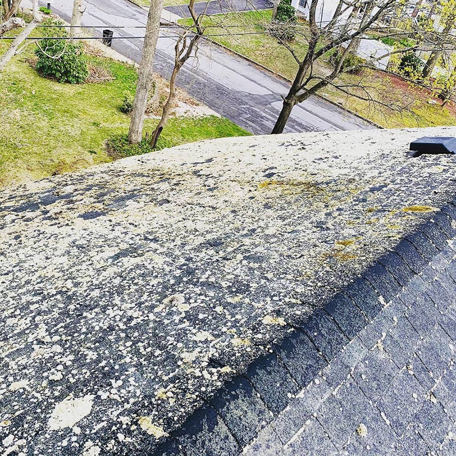 dirty roof with trees