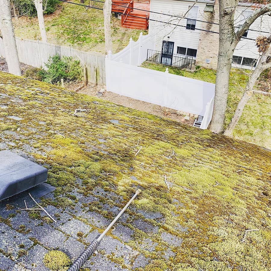 dirty roof with moss