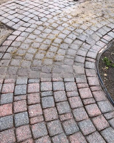 pavers before professional cleaning